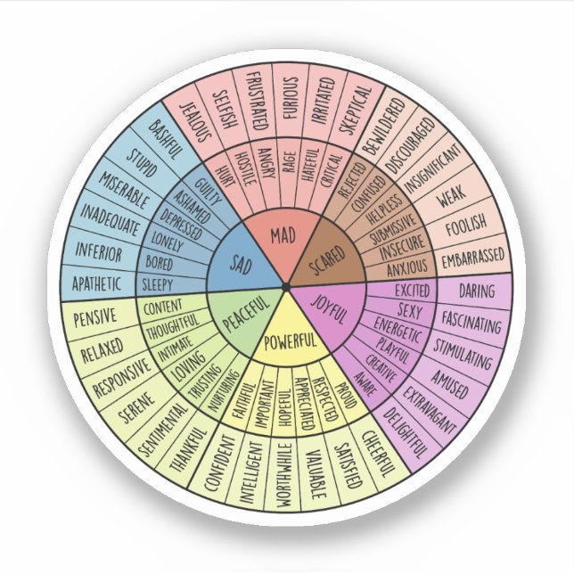 Adesivo Sentimentos Válidos, Autoatendimento, Presente De  (Frente)