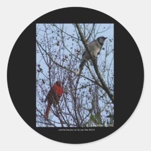 Adesivo Sentinelas Blue Jay e Cardinal por Lee Hiller
