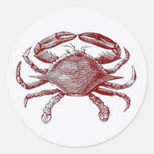 Adesivo Sentir Caranguejo Vermelho Lápis Oceano Arte Caran