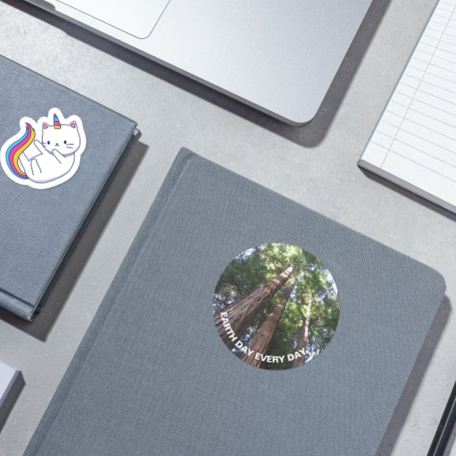 Adesivo Sequoia Árvores Foto do Dia da Terra (In Situ Book)