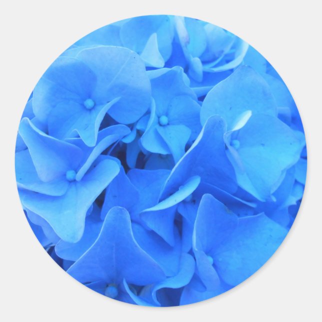 Adesivo Seraphine (Frente)