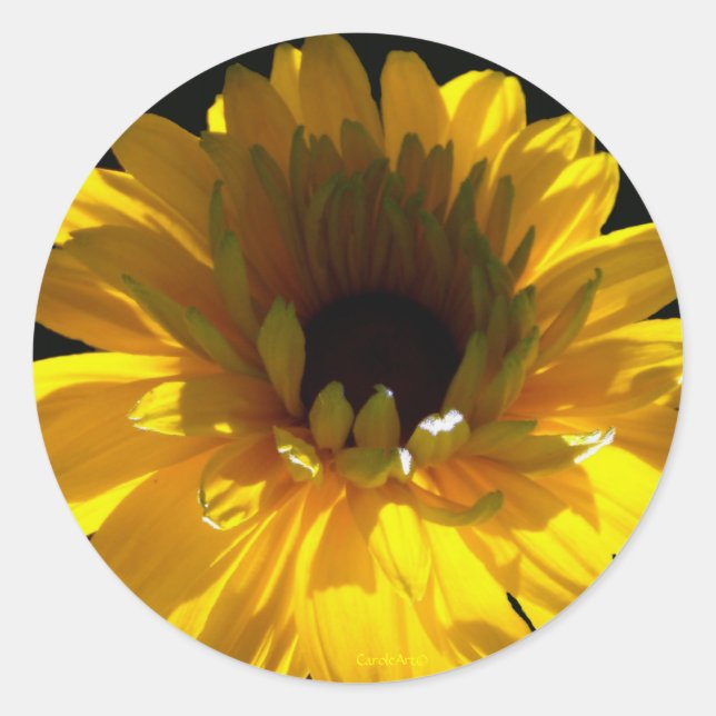 Adesivo Serene Sunflower (Frente)