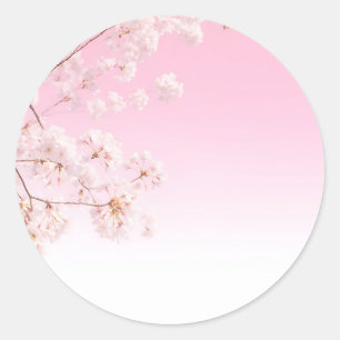 Adesivo Serenidade de Primavera com Flor de Cerejeira Rosa