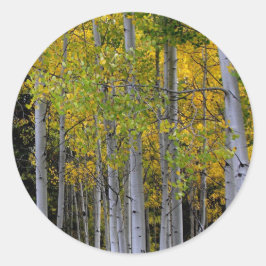 Adesivo Serenidade no Aspen Dourado e Verde