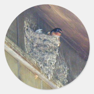 Adesivo Série Barn Swallow
