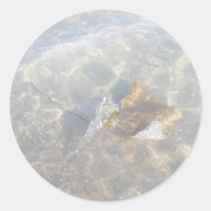 Adesivo Série da arraia-lixa OBX de Cownose