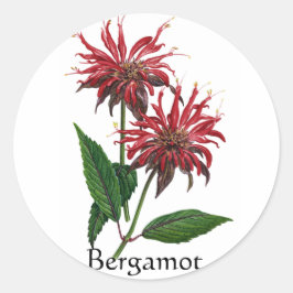 Adesivo Série Herb Garden - Bergamot