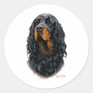 Adesivo Setter de Gordon
