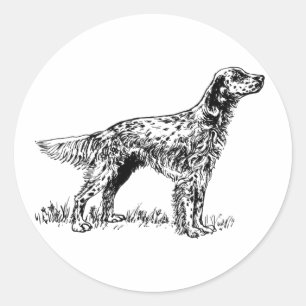 Adesivo setter inglês