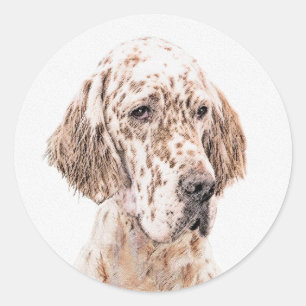 Adesivo Setter Inglês Laranja Belton - Pintura de Cão