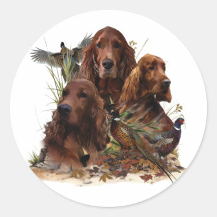 Adesivo Setter Irlandês com Faisões - Caça Paixão