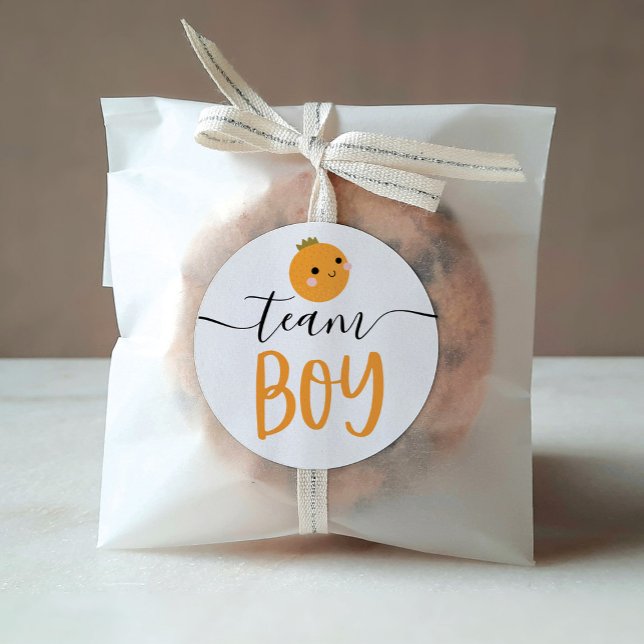 Adesivo Sexo Revelação Voto Vinheta Pequena Laranja Útil (Criador carregado)