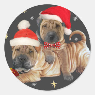 Adesivo Shar-pei Chinês Um Feliz presente de Natal