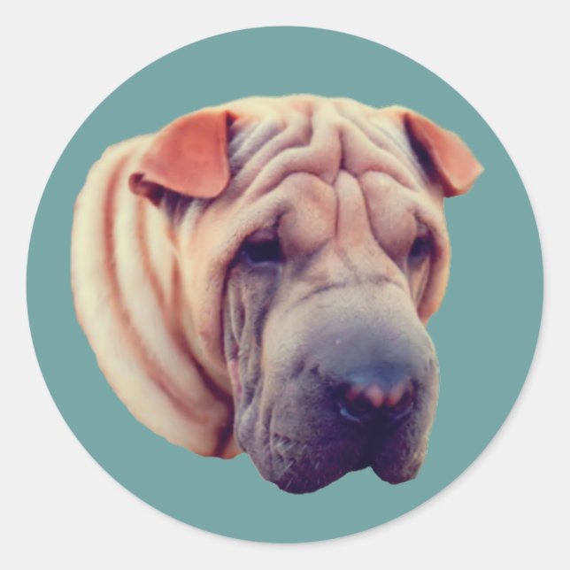 Adesivo Shar Pei Face (Frente)