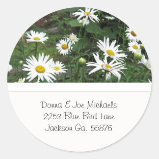 Adesivo Shasta Daisies Endereço Stickers