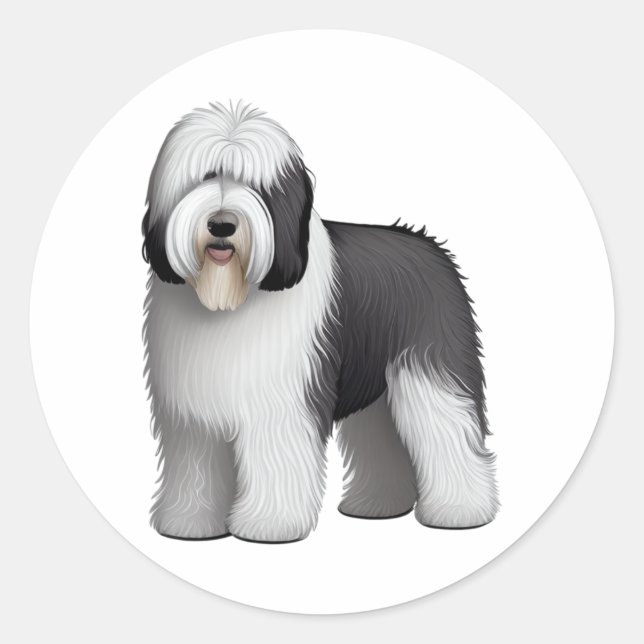 Adesivo Sheepdog 10 antigo inglês (Frente)