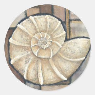 Adesivo Shell Abalone