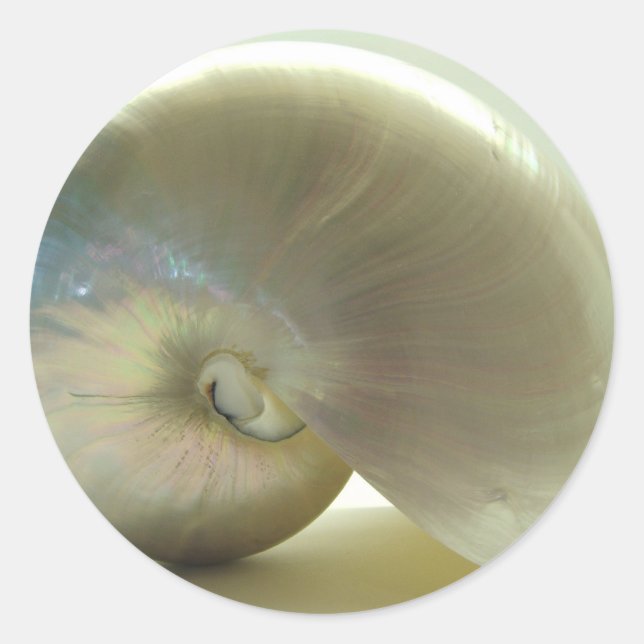 Adesivo Shell nº 1 (Frente)