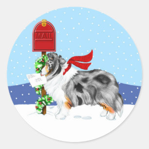 Adesivo Sheltie Christmas Mail Blue Merle