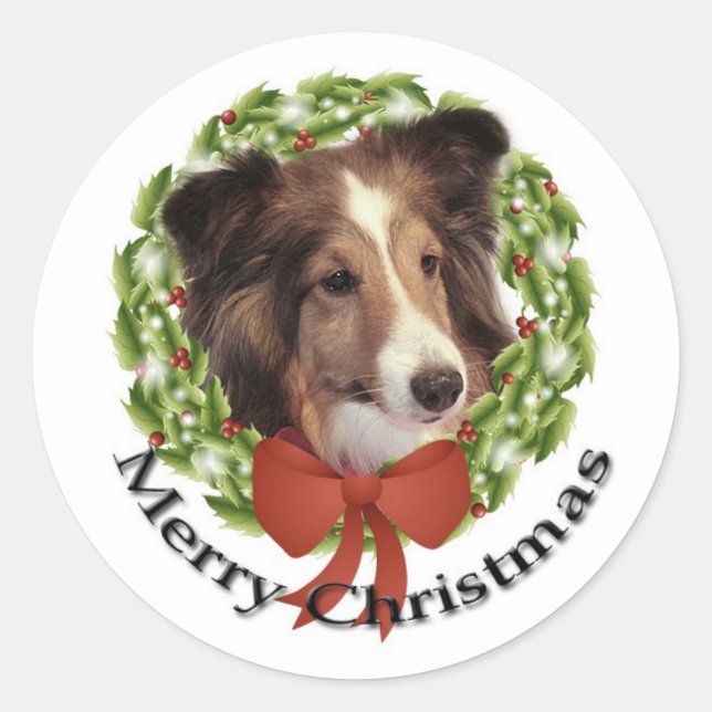 Adesivo Sheltie Holiday nº 2 Sticker (Frente)