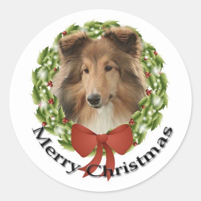 Adesivo Sheltie Holiday nº 3 Sticker (Frente)