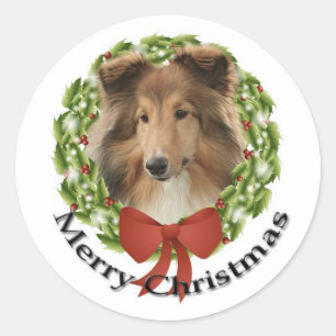 Adesivo Sheltie Holiday nº 3 Sticker