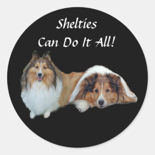 Adesivo Sheltie Sticker