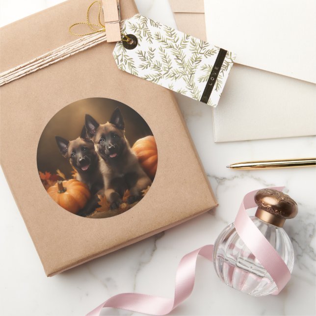 Adesivo Shepherd Belga Puppy Autumn Delight Pumpkin (Presentear)