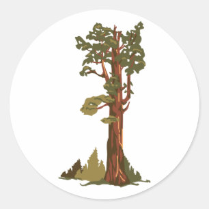 Adesivo Sherman Tree
