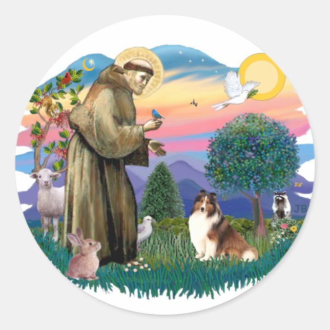 Adesivo Shetland Sheepdog (sable and white) (Frente)