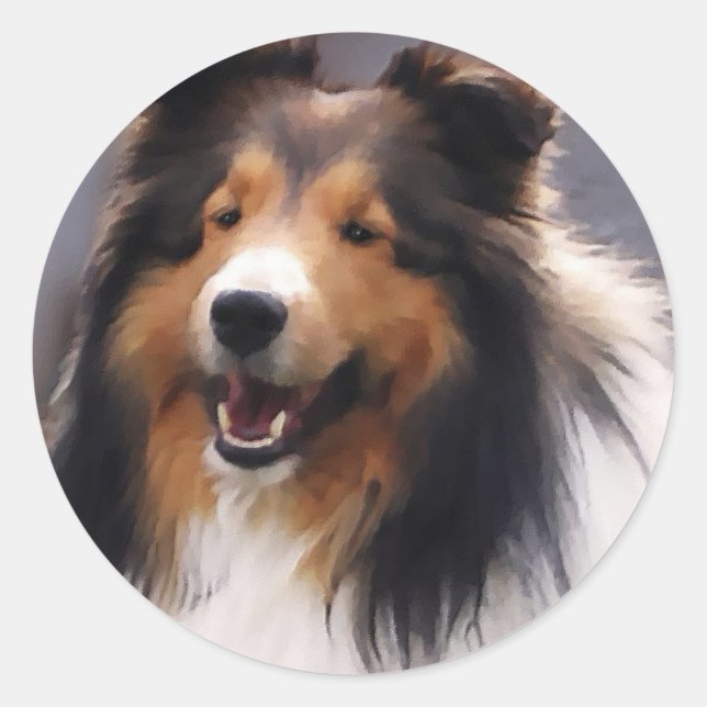 Adesivo Shetland Sheepdog Sheltie Gifs (Frente)
