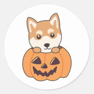 Adesivo Shiba Inu Em Pumpkin Cães Doces Feliz Dia das Brux