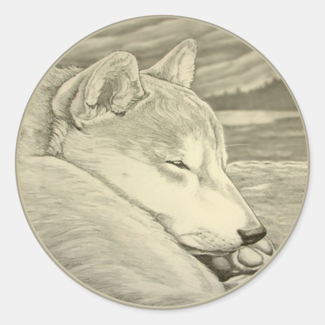 Adesivo Shiba Inu Stickers Dog Shiba Inu Art Sticker (Frente)
