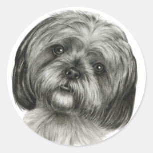 Adesivo Shih Tzu
