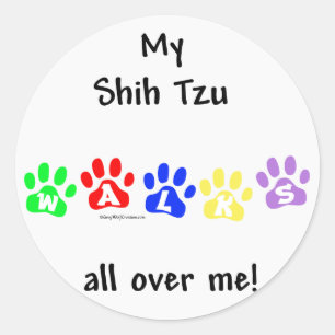 Adesivo Shih Tzu Caminha Por Você