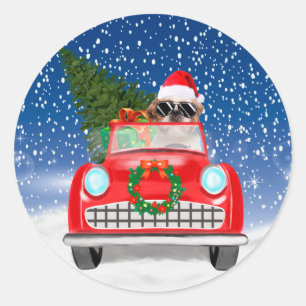 Adesivo Shih Tzu Cão Dirigindo Carro Na Neve Natal