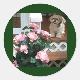 Adesivo Shih Tzu com Flores de primavera