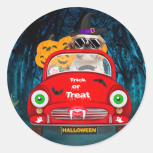Adesivo Shih Tzu Dirigindo Carro Assustador Halloween