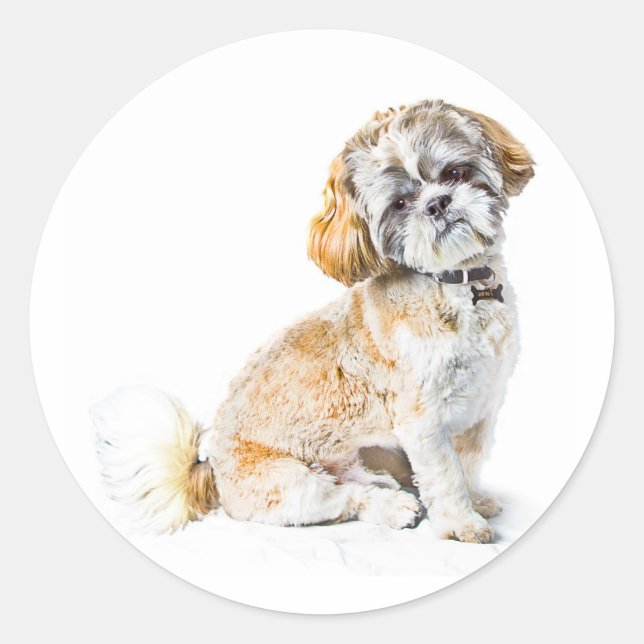 Adesivo Shih Tzu Dog Stickers (Frente)