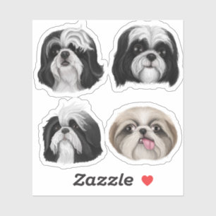 Adesivo Shih Tzu faces