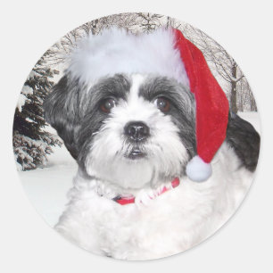 Adesivo Shih Tzu Natal