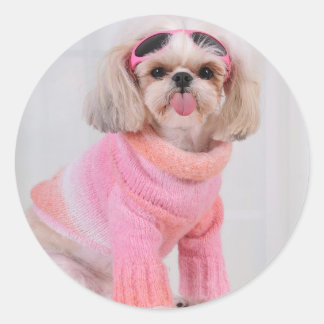 Adesivo Shih Tzu Puppy - A Razz