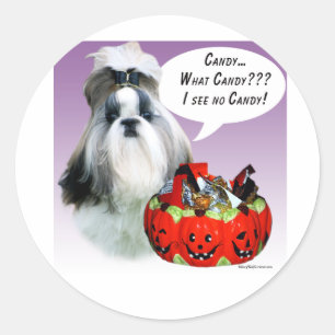 Adesivo Shih Tzu (ranzinza) Halloween Candy