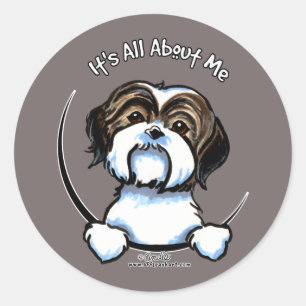 Adesivo Shih Tzu seu toda aproximadamente mim