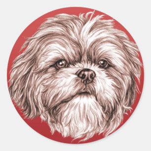 Adesivo Shih Tzu Sketch