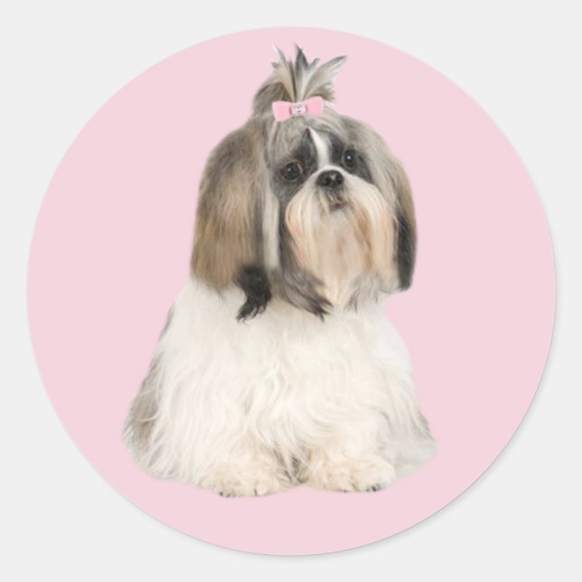 Adesivo Shih Tzu Sticker (Frente)