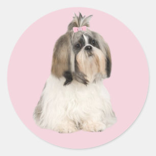 Adesivo Shih Tzu Sticker