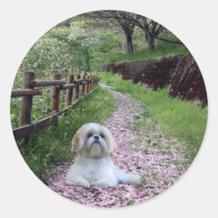 Adesivo Shih Tzu Sticker Purple Flowers
