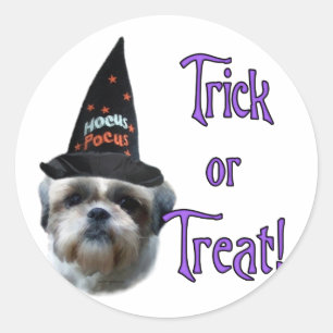 Adesivo Shih Tzu Trick