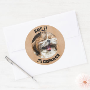 Adesivo Shihtzu sorrindo é um texto personalizado contagio